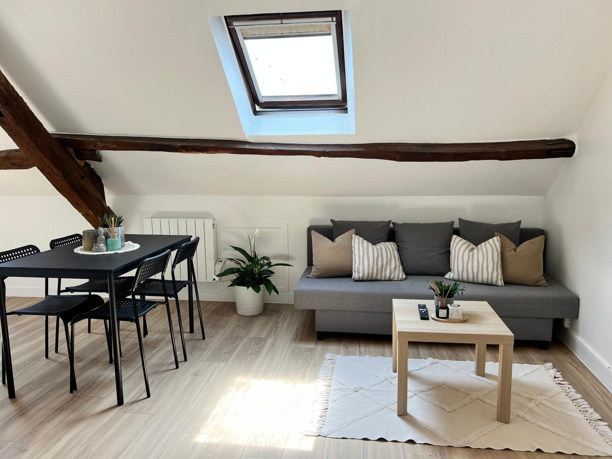 Apartamento Appart Asterix Cdg Parc Expo Paris Chantilly Plailly Exterior foto