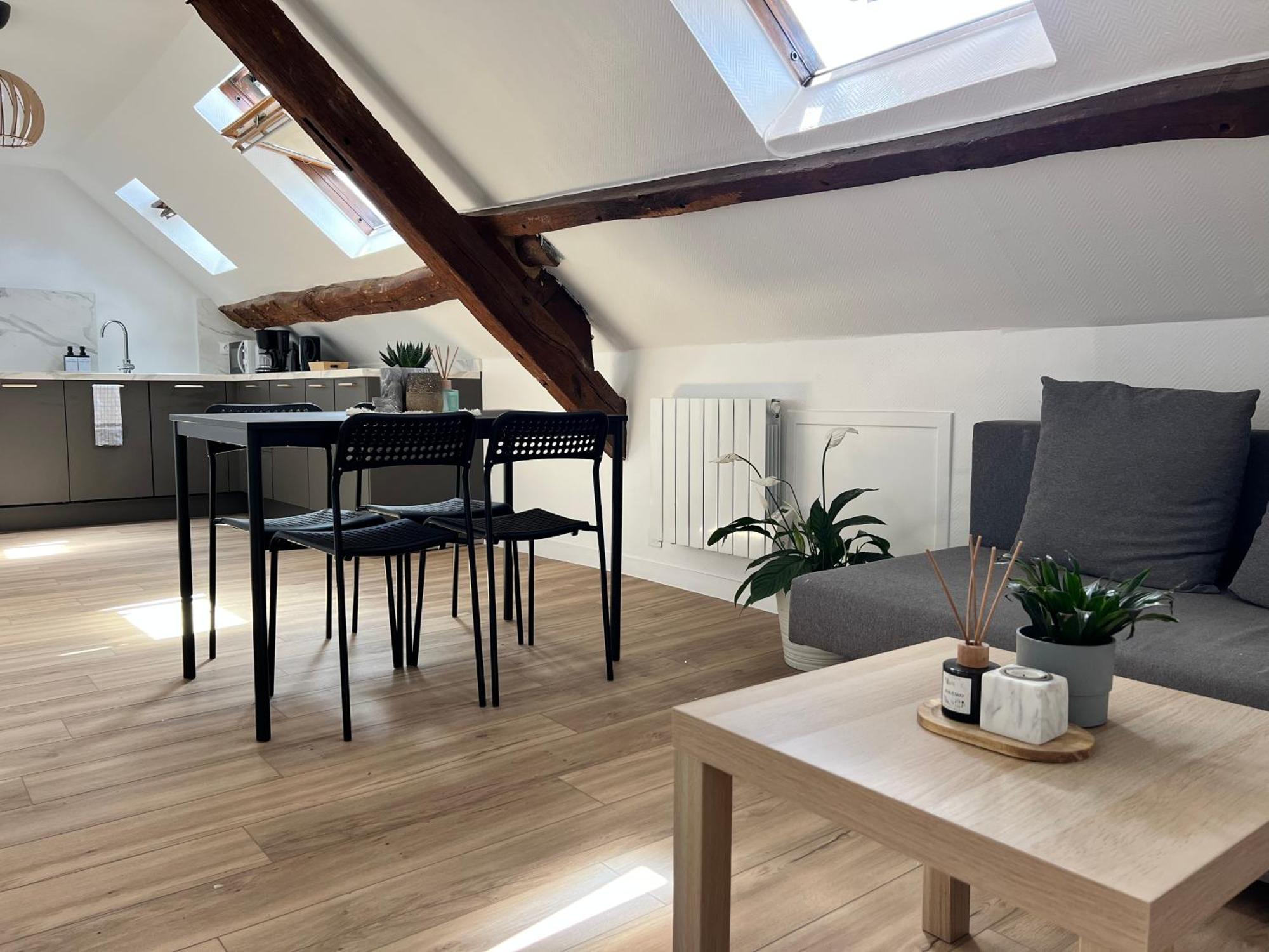 Apartamento Appart Asterix Cdg Parc Expo Paris Chantilly Plailly Exterior foto