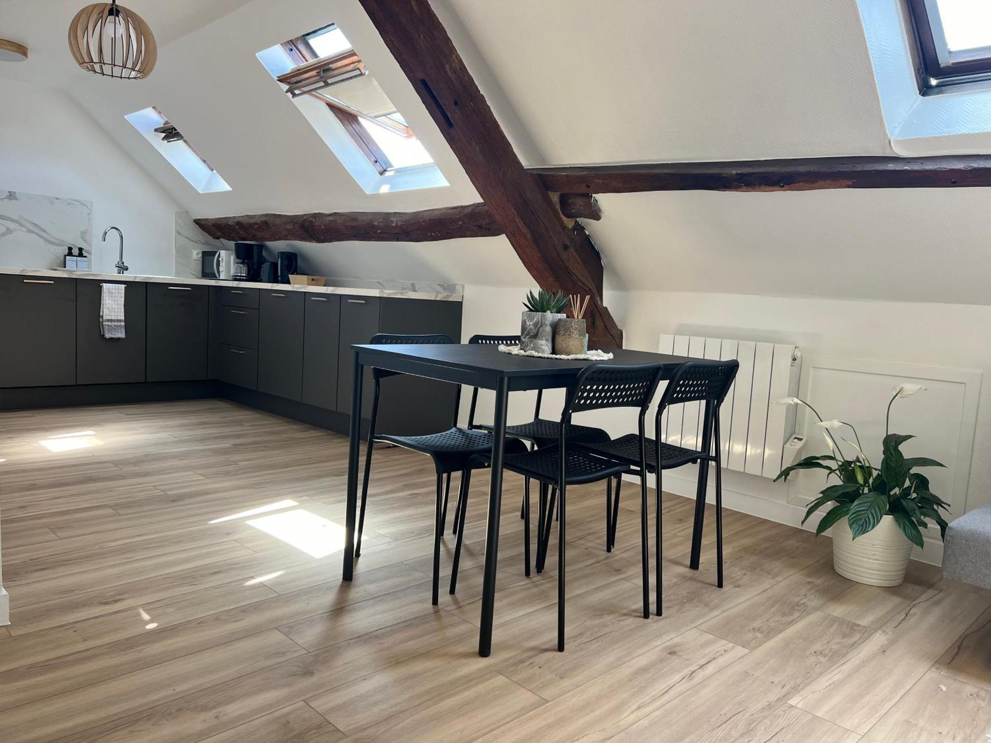 Apartamento Appart Asterix Cdg Parc Expo Paris Chantilly Plailly Exterior foto